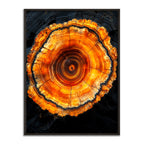 The Core