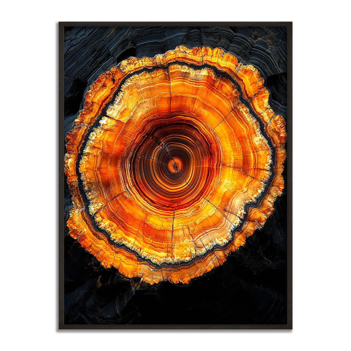 The Core