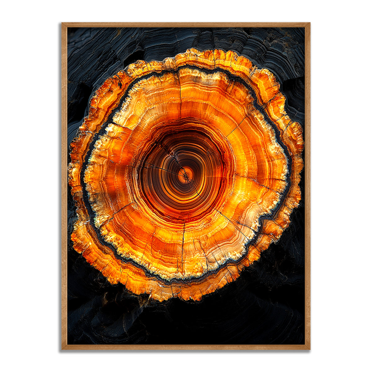 The Core