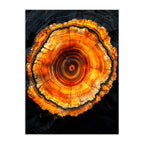 The Core