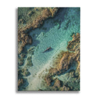 The Shallows