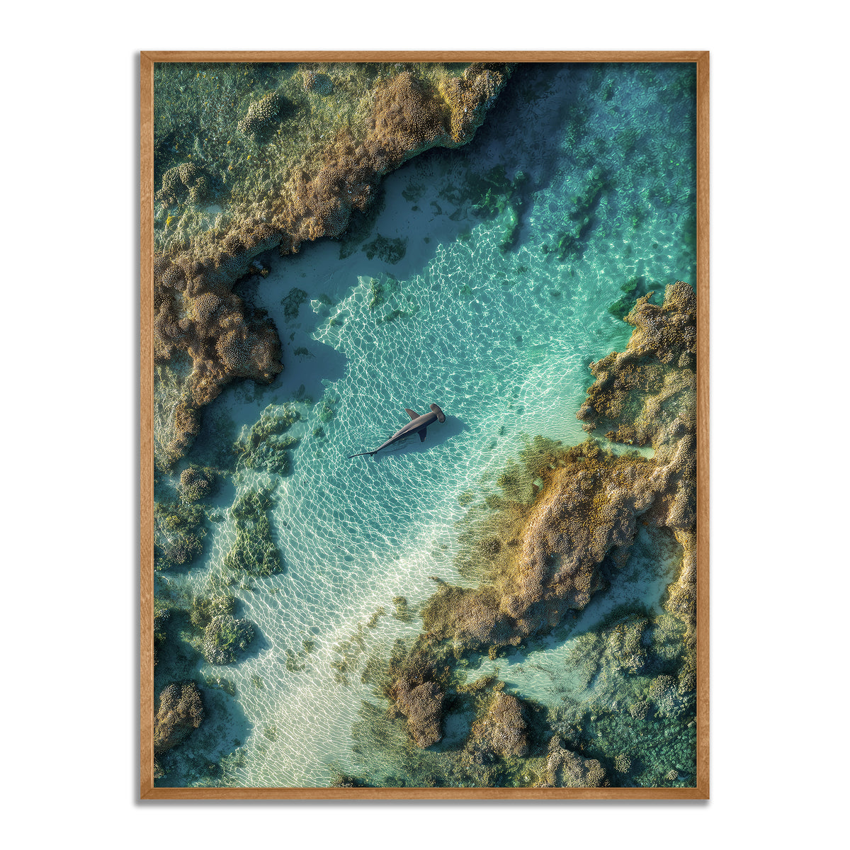 The Shallows