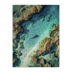 The Shallows