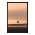 The Witness