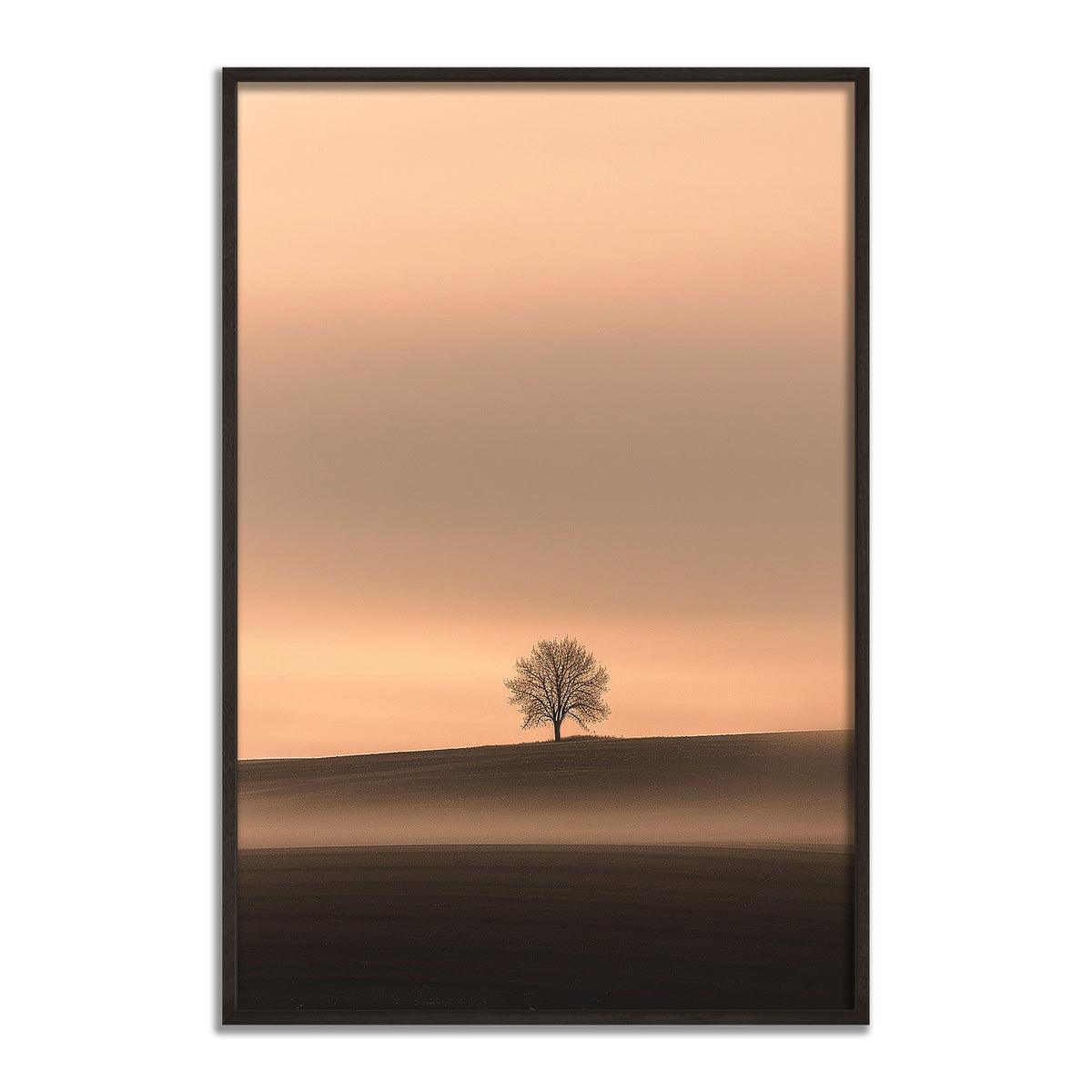 The Witness