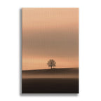 The Witness