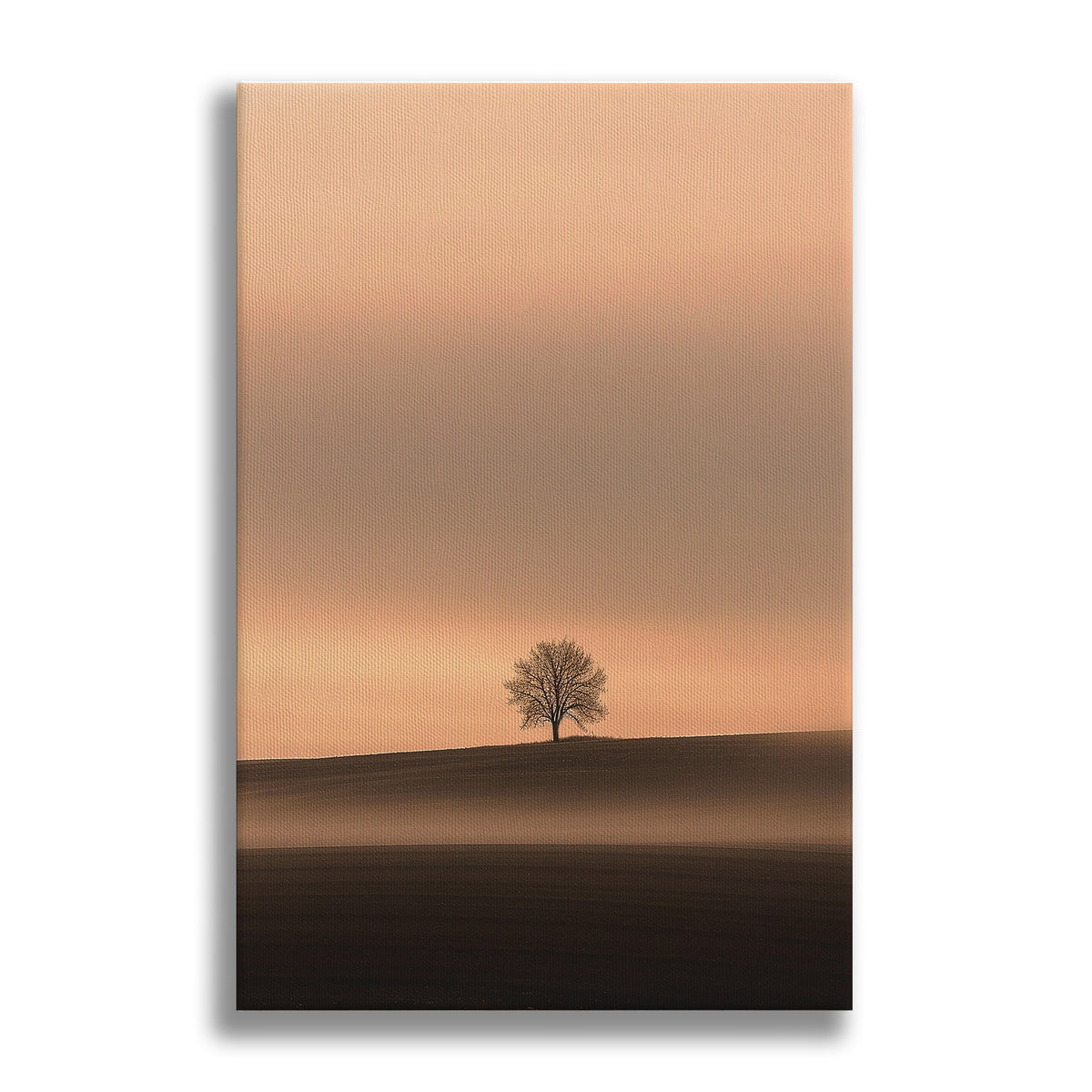The Witness