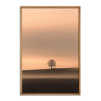 The Witness