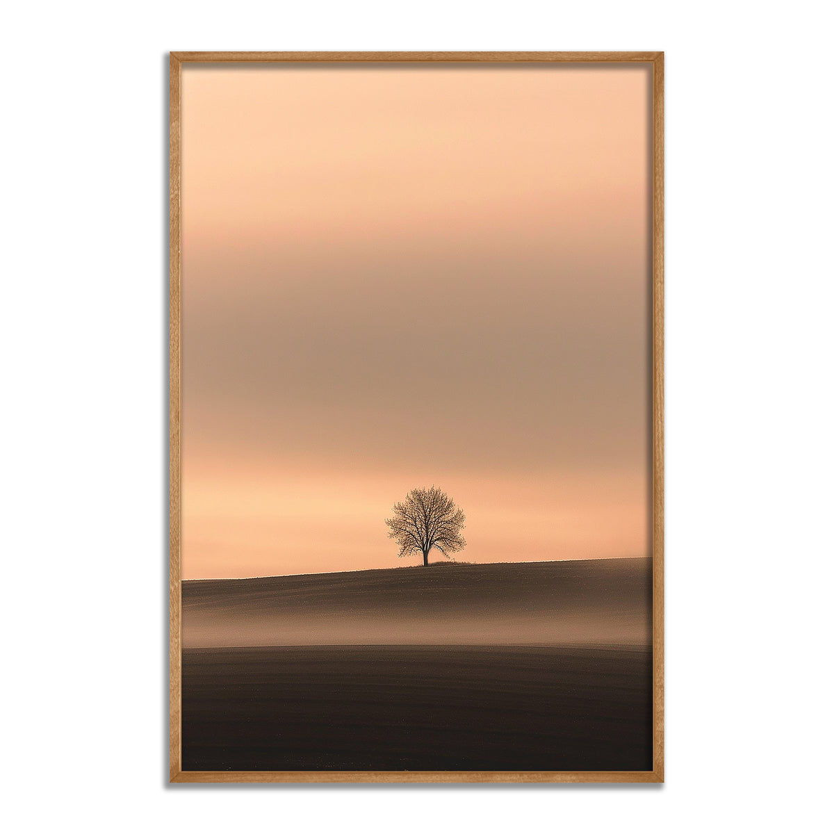 The Witness