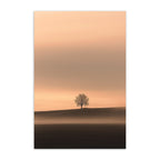 The Witness